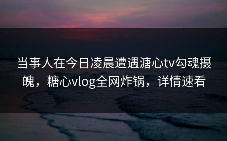 当事人在今日凌晨遭遇溏心tv勾魂摄魄，糖心vlog全网炸锅，详情速看