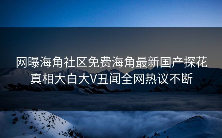 网曝海角社区免费海角最新国产探花真相大白大V丑闻全网热议不断