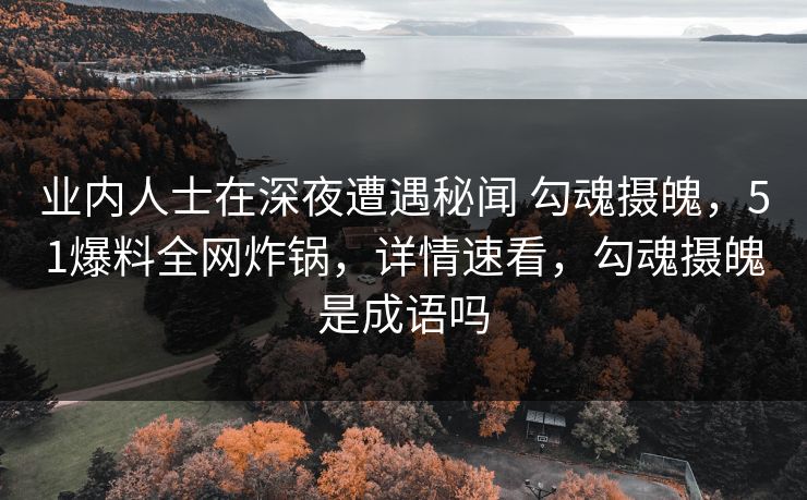 业内人士在深夜遭遇秘闻 勾魂摄魄，51爆料全网炸锅，详情速看，勾魂摄魄是成语吗