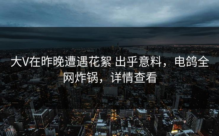 大V在昨晚遭遇花絮 出乎意料，电鸽全网炸锅，详情查看